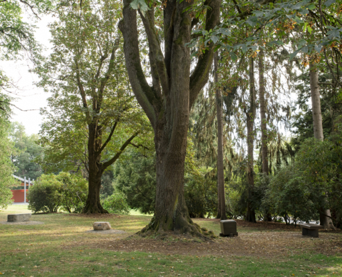 Soft Services_HI-001