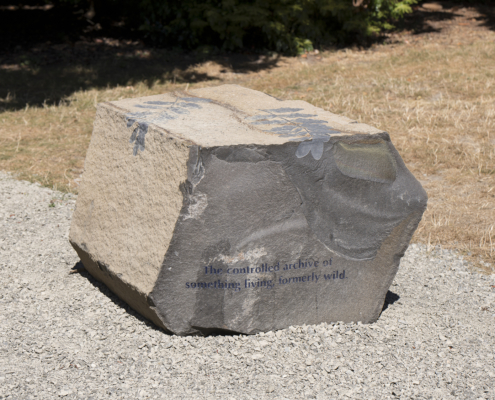 Soft Services_JKL-004